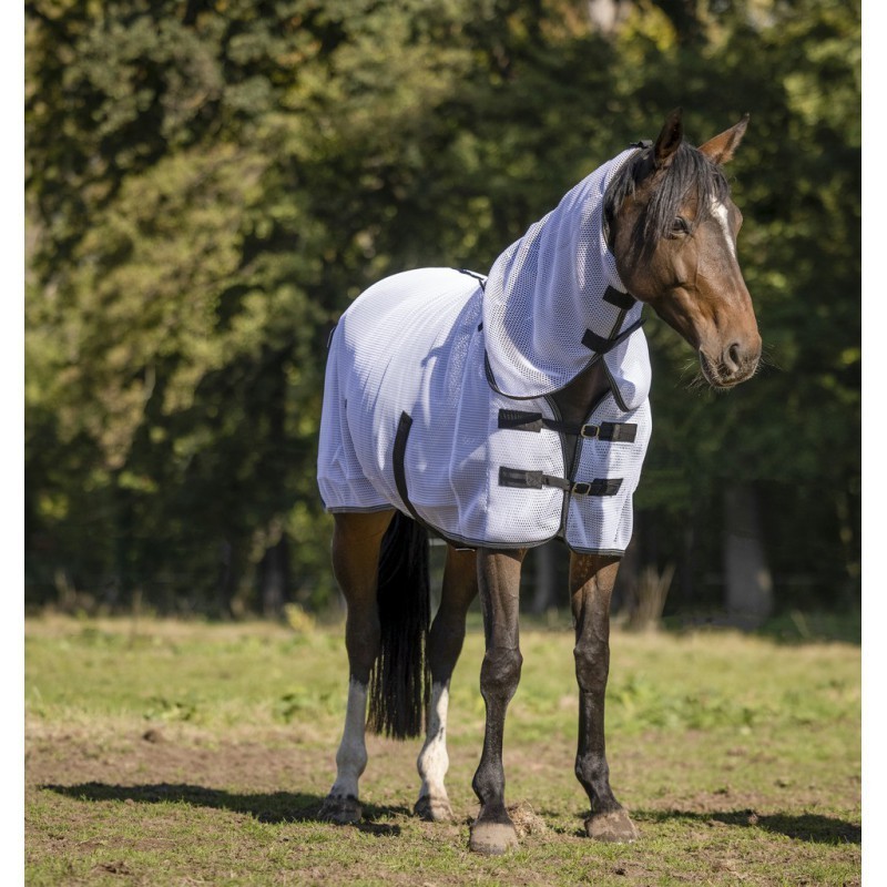 Chemise EQUITHEME "3D Mesh"