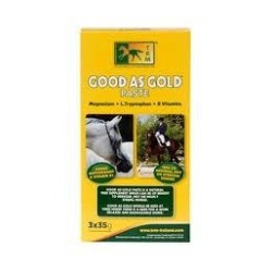 GOOD AS GOLD PASTE
