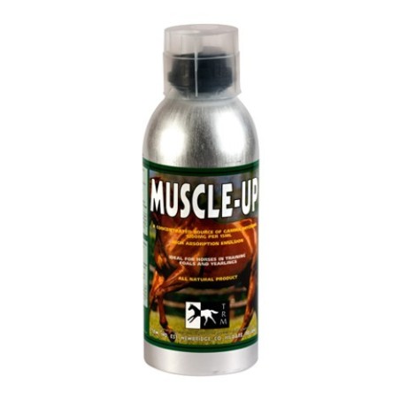 MUSCLE UP