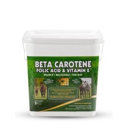 BETA CAROTENE, FOLIC ACID & VITAMIN E
