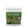 BETA CAROTENE, FOLIC ACID & VITAMIN E
