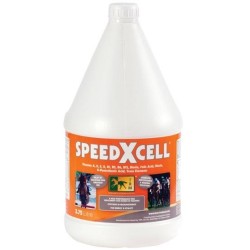SPEEDXCELL