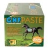 GNF PASTE