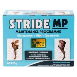 STRIDE MP