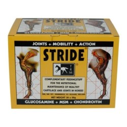 STRIDE