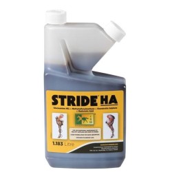 Stride HA