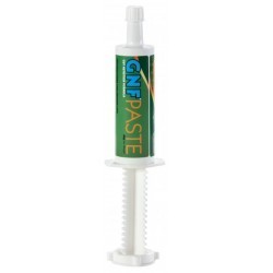 Seringue GNF PASTE