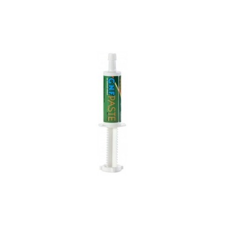 Seringue GNF PASTE
