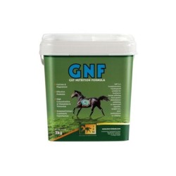 GNF