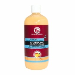 SHAMPOING
