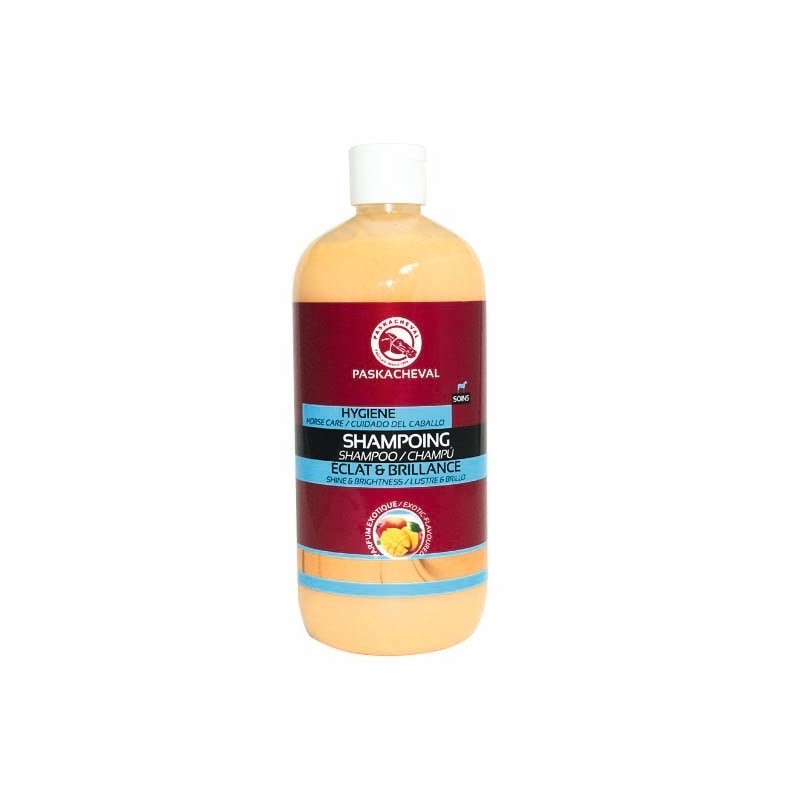 SHAMPOING