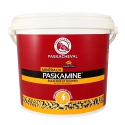 PASKAMINE