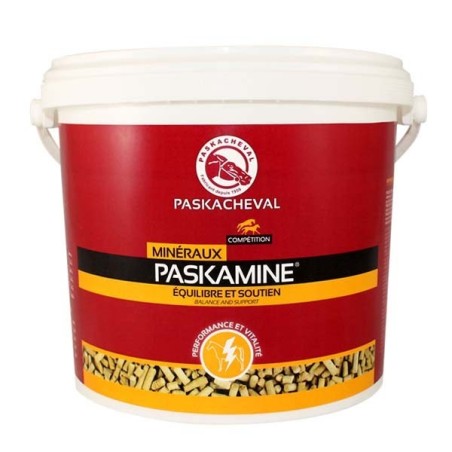 PASKAMINE