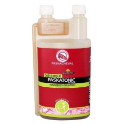 PASKATONIC SOLUTION