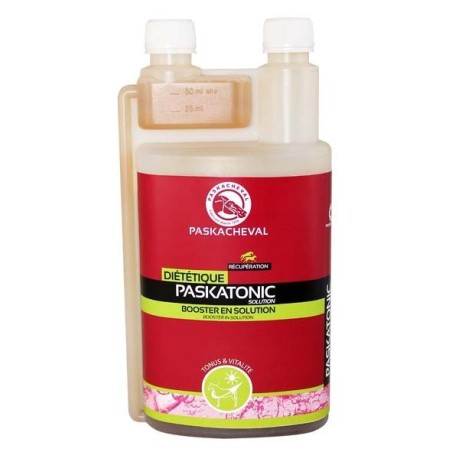 PASKATONIC SOLUTION