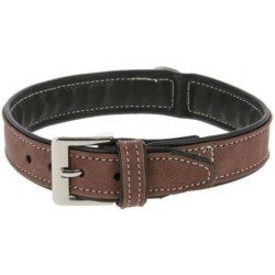 Collier pour chien California